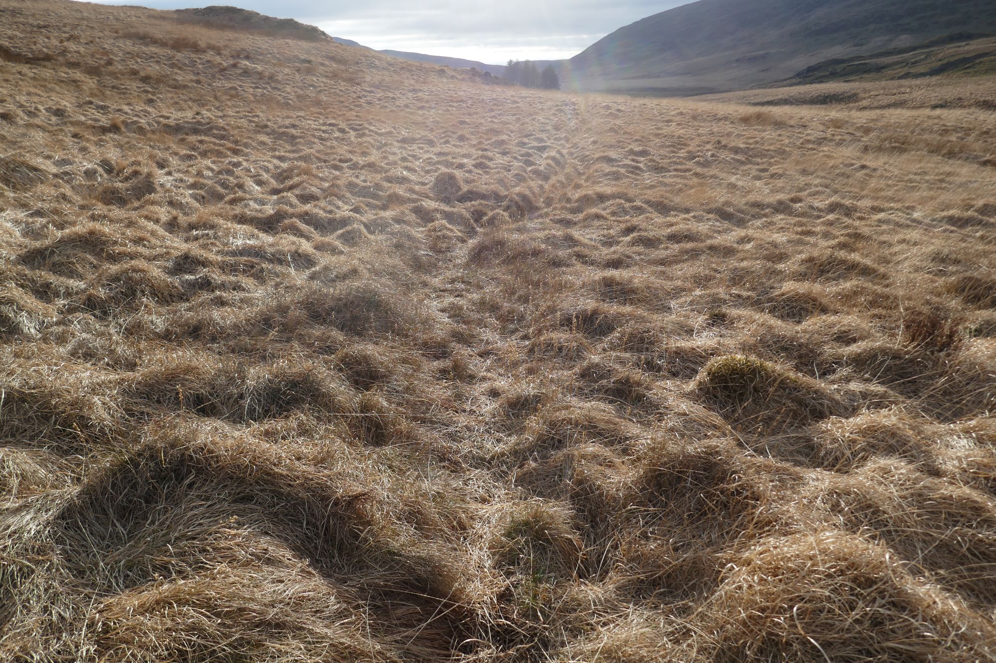 RachelSeabrook.net | Wild Walking | Cwm Gwerin | pic61